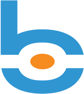 bigvision-b
